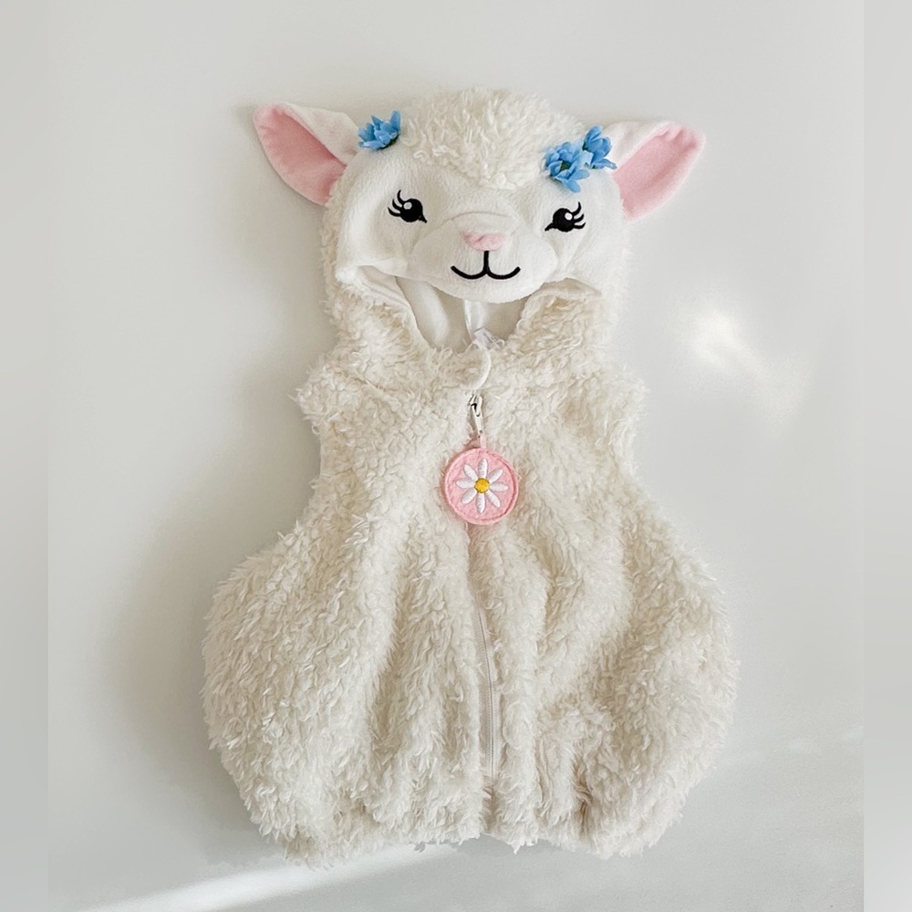 Llama Costume (3-6m)